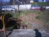 Photo Number 4